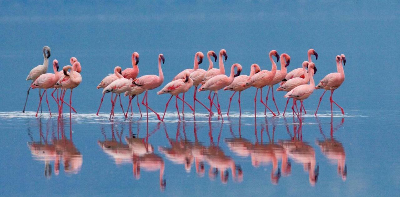Sa Domu Villa Quartu SantʼElena Dış mekan fotoğraf